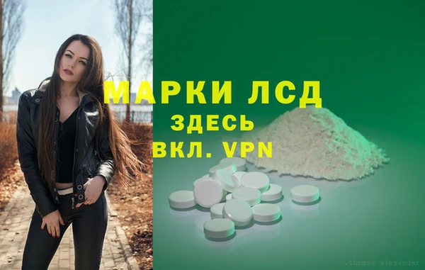 трава Арсеньев