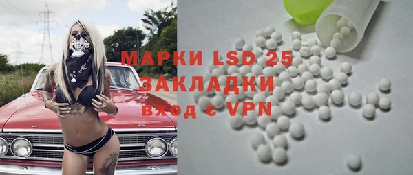 шишки Аркадак