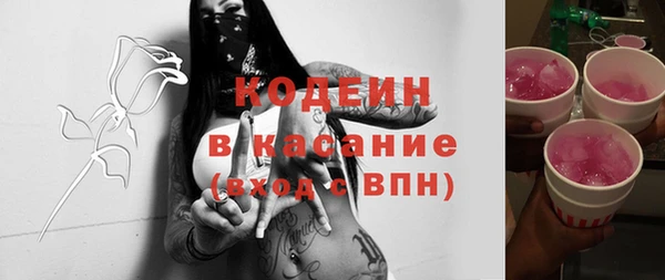 шишки Аркадак