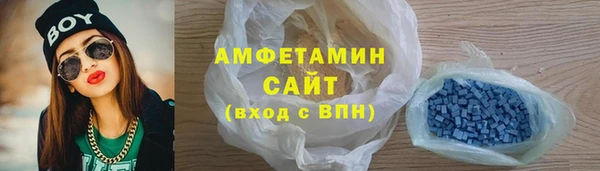 шишки Аркадак