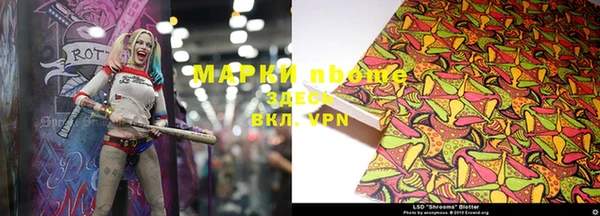 шишки Аркадак