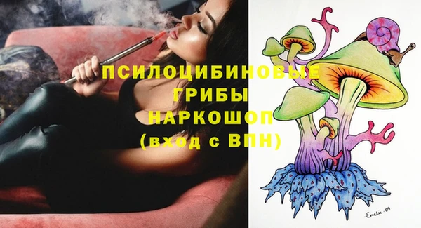 трава Арсеньев