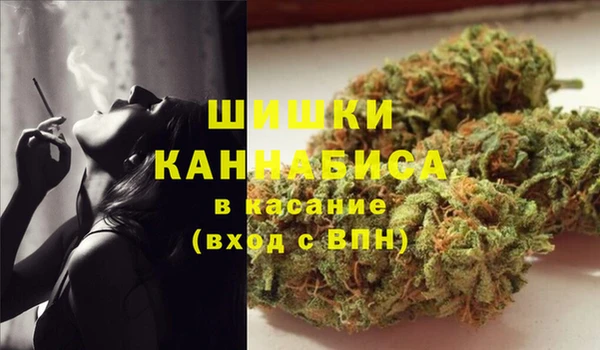 трава Арсеньев