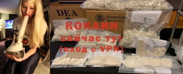 шишки Аркадак