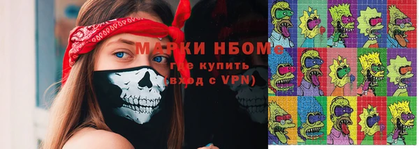 шишки Аркадак
