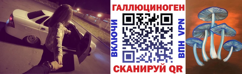 Псилоцибиновые грибы мицелий  это как зайти  Николаевск  дарнет шоп 
